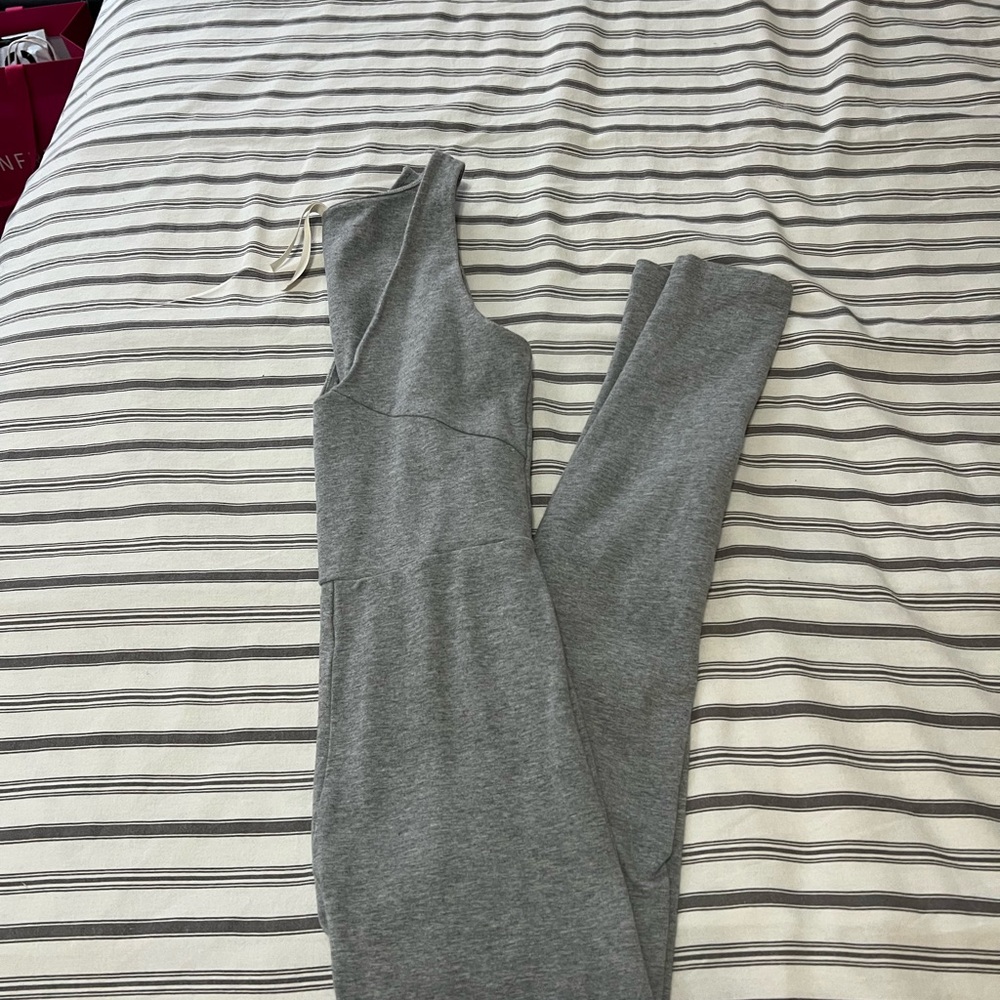 Gray Babaton Sleeveless Jumpsuit from Aritzia